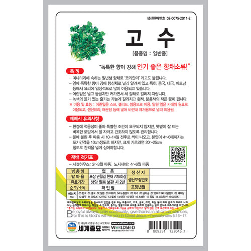 고수 실란트로 씨앗 Coriander Cilantro Seeds