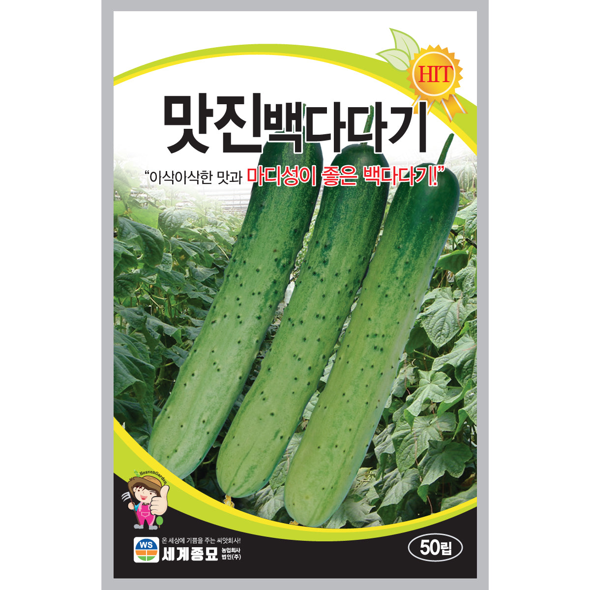 맛진 은천 오이씨앗 Cucumber Seeds