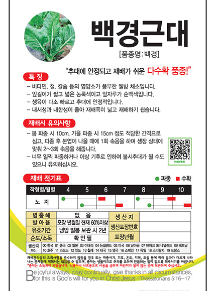 백경근대 Swiss Chard Seeds