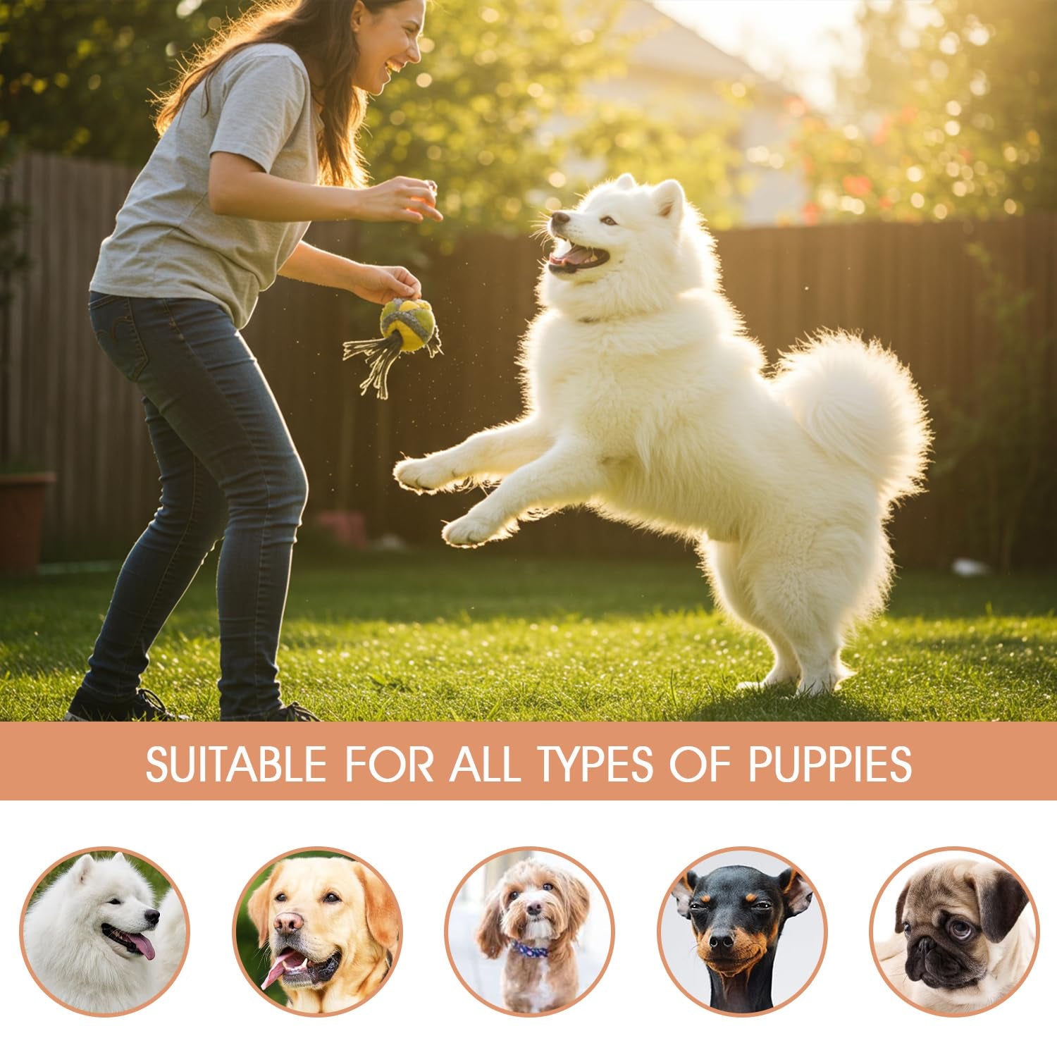 KOREAN Plant Based Dog Mist 120Ml - Double Layer Mist, Cologne Spray - Protects against Air Pollutants Hydrates & Moisturizes - Body Spray Odor Eliminator for Puppy to Adult Dogs - Made in Korea