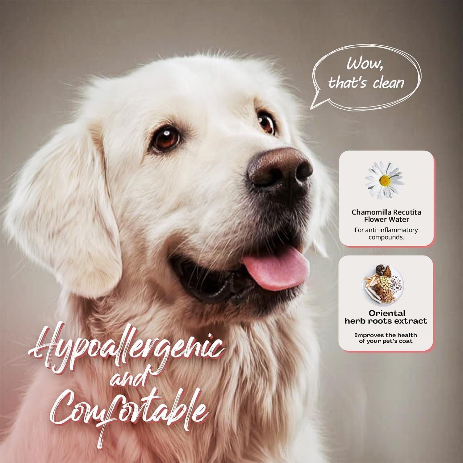 Korean Plant Based Vegan Dog Tear Stain Cleaner 100 Ml – Gentle & Effective Eye Stain Remover for Dogs – Non-Irritating Facial Cleanser, with Hyaluronic Acid, Cruelty-Free Pet Eye – Made in Korea