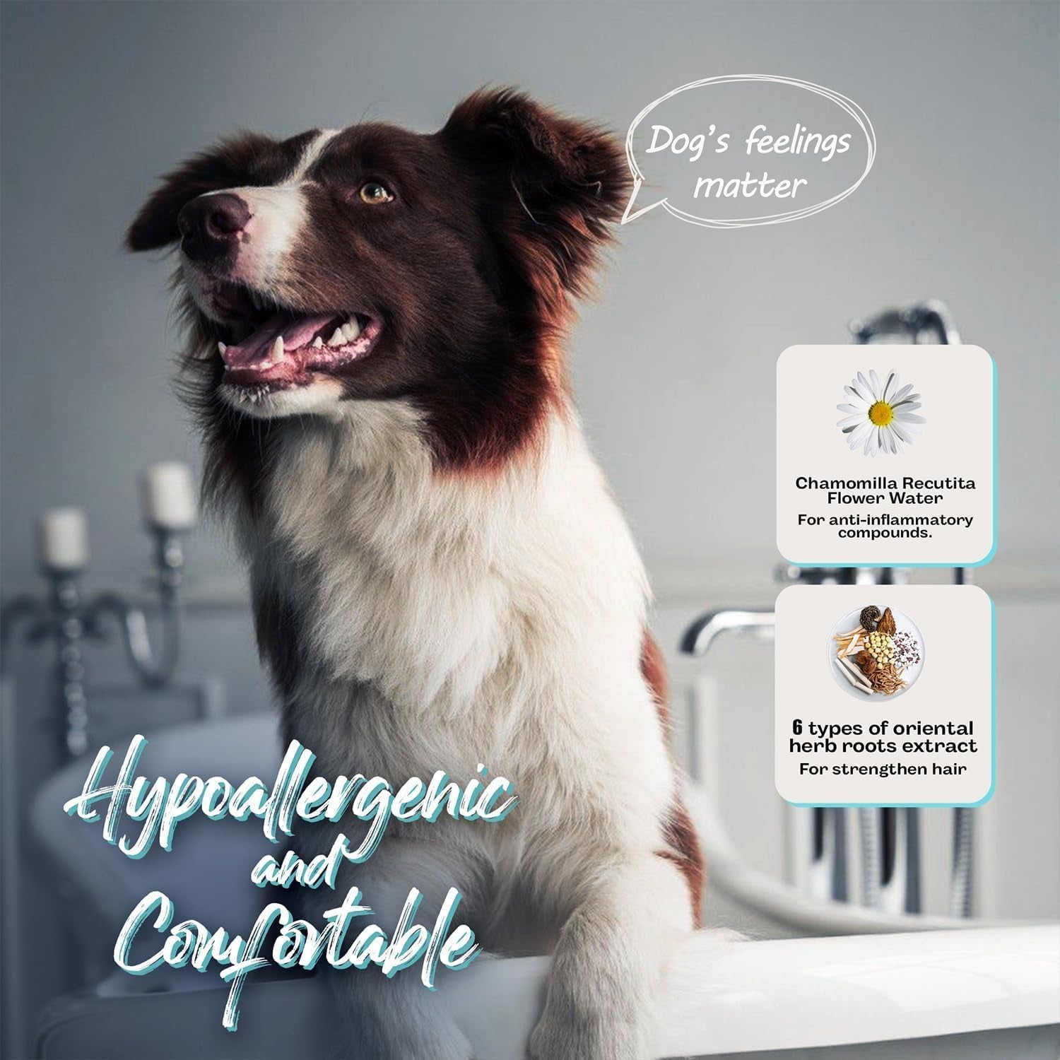 Korean Vegan Dog Conditioner 500Ml – Natural Ingredients Conditioner for Puppy to Adult Dogs Moisturizing for Sensitive Skin & Ultra Softness, Shiny, Strong & Long-Lasting Scent – Made in Korea