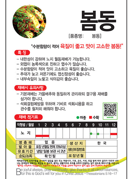 봄동 Chinese cabbage Seeds
