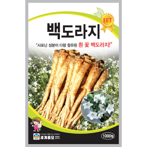 도라지 씨앗 Balloon Flower Seeds