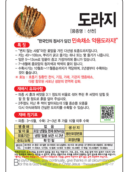 도라지 Balloon flower Seeds