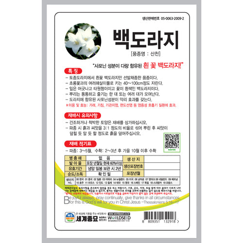 도라지 씨앗 Balloon Flower Seeds