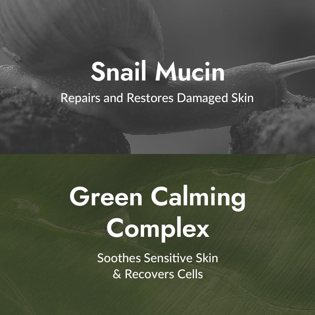 미존 올인원 달팽이크림 MIZON All-In-One Snail Repair Cream 2.54 Fl Oz