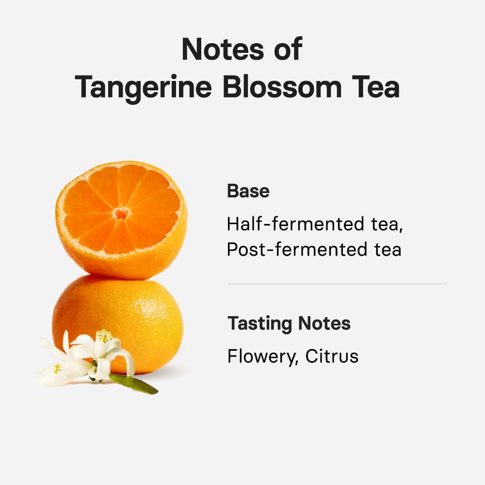 OSULLOC Tangerine Blossom Tea (Refreshing Tangerine Flavor), USDA Certified Organic, Tea Bag Series 20 Count, Premium Blended Tea from Jeju