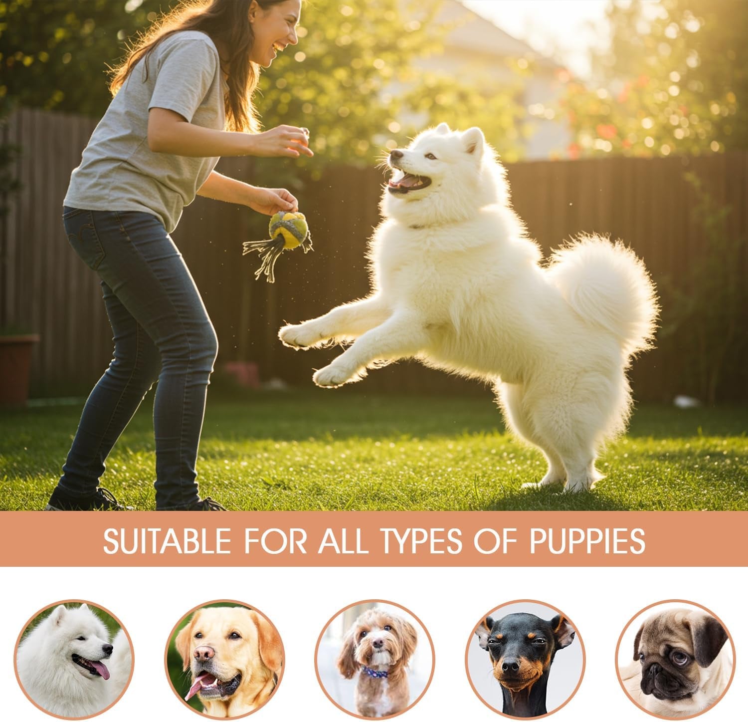 Korean Vegan Dog Paw Cleaner 150Ml – Waterless Paw Cleanser with Silicone Brush – Perfect for Puppy to Adult Dogs – Gentle & Non-Irritating Dogs Paws – Moisturizes & Cleanses – Made in Korea