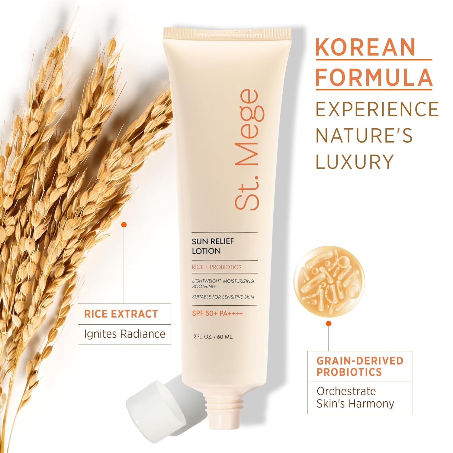 Rice Korean Lightweight Sunscreen - Daily 50+ PA++++ Travel Size Sunscreen Lotion - Reef Safe, Asian Skincare Sunblock