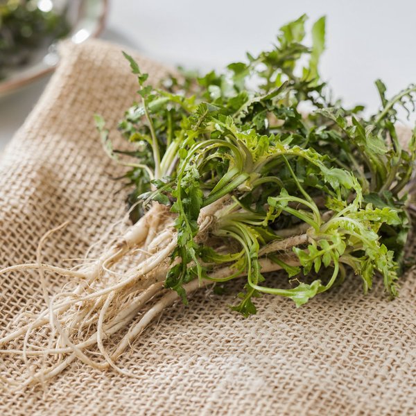 냉이나물 씨앗 Capsella Bursa-Pastoris Seeds