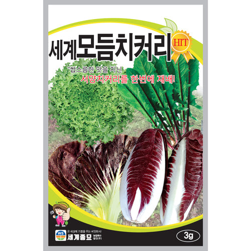 모듬 치커리 씨앗 Mixed Chicory Seeds