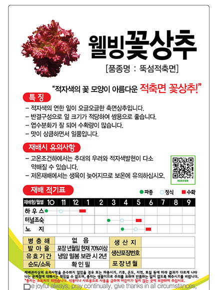 꽃상추 선홍적축면 Flower Lettuce Seeds