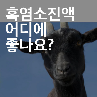 한방보약