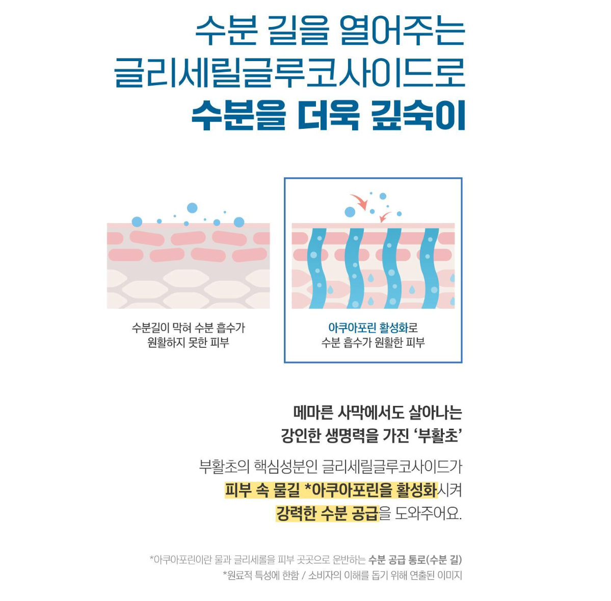 라운드랩 자작나무 수분 선크림 50ml ROUND LAB Birch Juice Moisturizing UV LOCK SPF 45