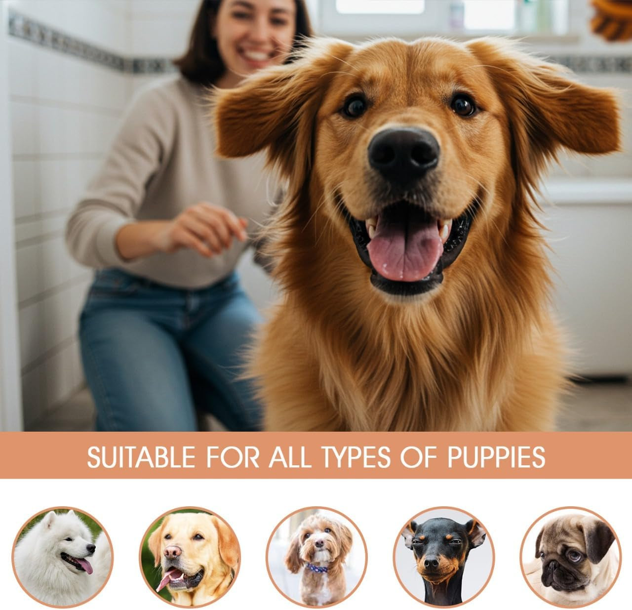 Korean Plant Based Vegan Dog Shampoo 500Ml - Hypoallergenic, Hyaluronic Acid for Puppy to Adult Dogs Soothing Cleanser, Dandruff and Aloe Itchy Skin Moisturizing for Sensitive Skin, Made in Korea