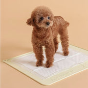 KAKAO FRIENDS Dog Silicon Mat - Choonsik