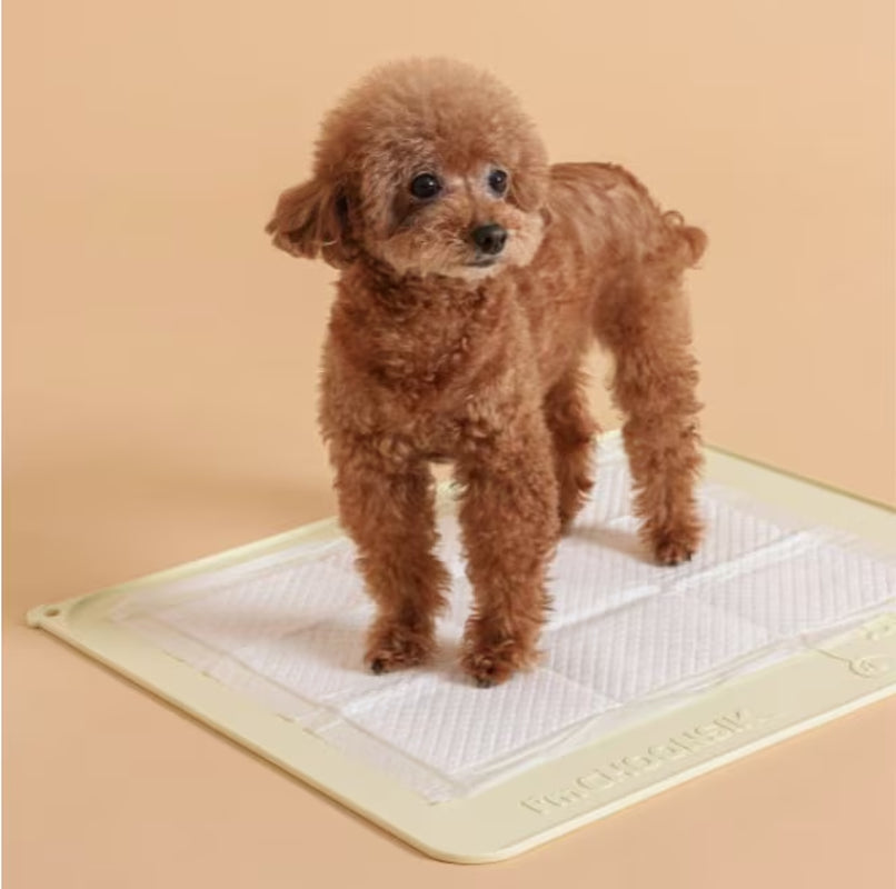 KAKAO FRIENDS Dog Silicon Mat - Choonsik