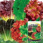 모듬상추 씨앗 Lettuce Collection Seeds